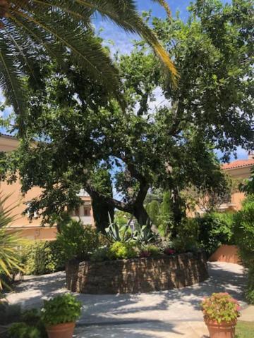 Belle Residence Au Centre De Saint Tropez Avec Piscine Et Garage Екстериор снимка